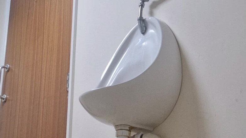 Lillia Cena: Awek kencing mens bilik air dengan kencing berisiko