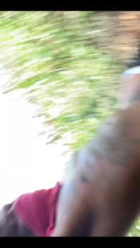 BBC Solo
