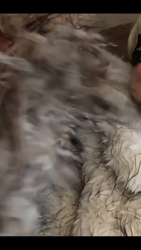 I Wanna Jerk off You