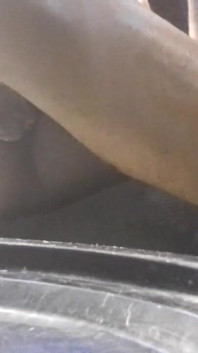 Tentanttalex