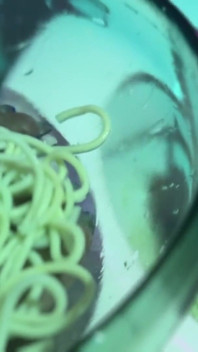 Being Fed Noodles From the Toilet