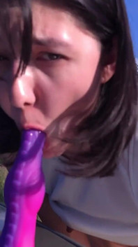 자동차 후드에 시오후키와 자위