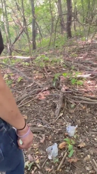 Skank suge rapid în pădure