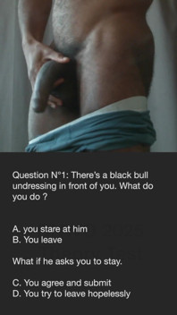 Bnwo Theory Test