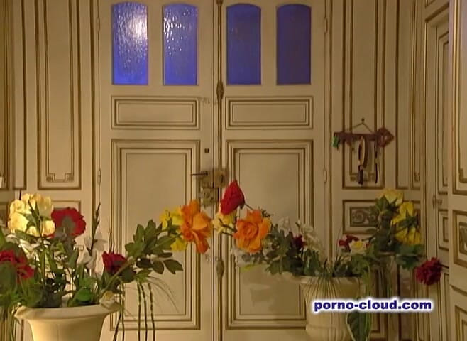 Porno Cloud: Ass fuck for the nasty maids and other dirty wives -DVD