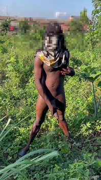 Africano BBC Polla De 12 Pulgadas De Largo