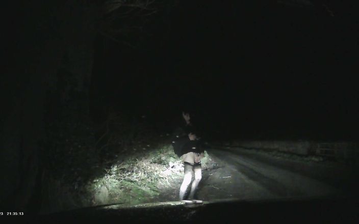 Sexy tranny: Out for a Drive