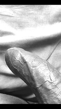 This Morning. Little King Wanted Some Love.