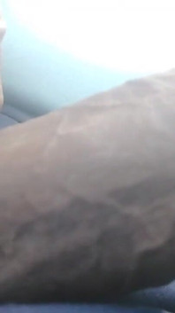Pau mais procurado