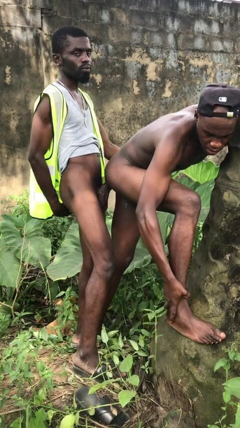 Sexydaddy: 야자수 뒤의 야외 섹스는 농장입니다