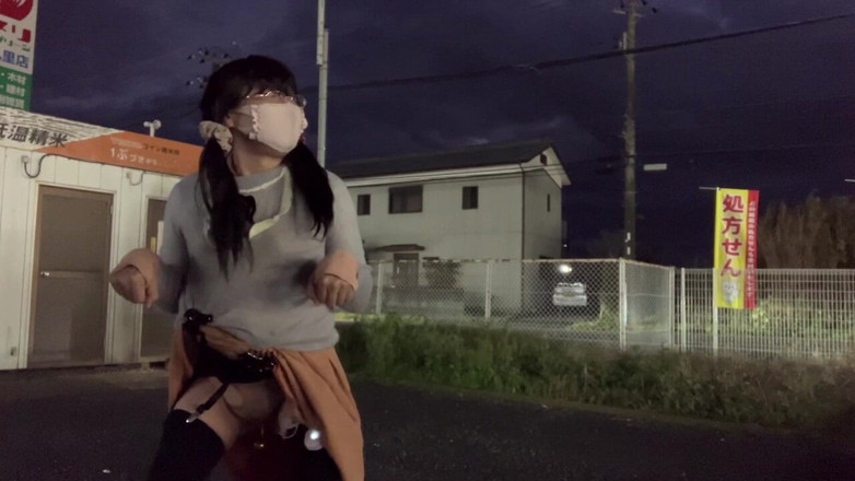 megu2002: Poziția câinelui de antrenament independent nr. 32 într-o plimbare nocturnă