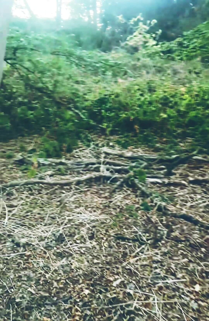 MaleModel: VEDERE LA PERSOANA 1 cu plimbare goală în pădure
