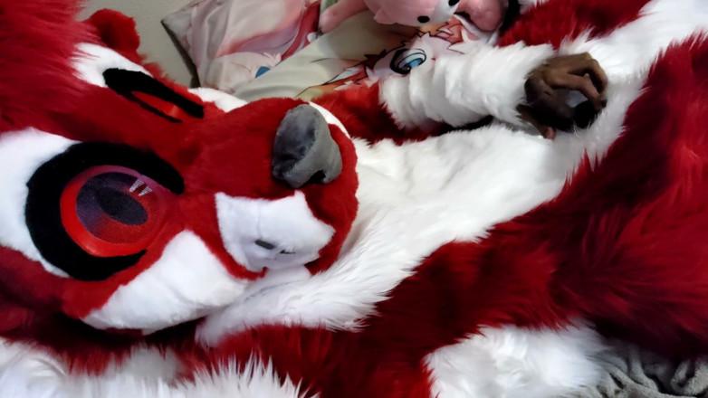 PawgrammerSocks: Jerking off and Showing Footpaws in Full-body Fursuit