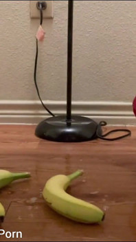 Pissing Squashing Fruits with My High Heels