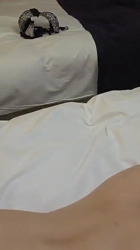 Asian Angel 16380
