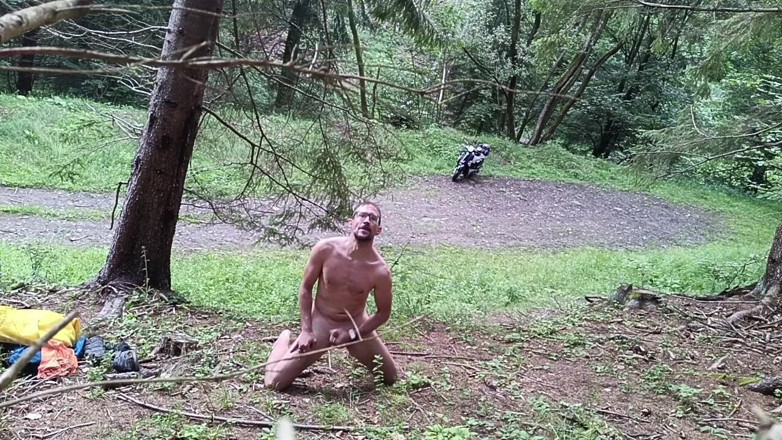 kickerscooter: Wild Slovak Nature