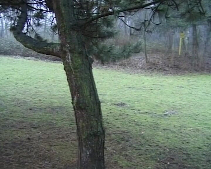 BB Video - Vintage Story: जर्मन चोदने लायक मम्मी शौकिया गृहिणी काले बाल वाली की चुदाई