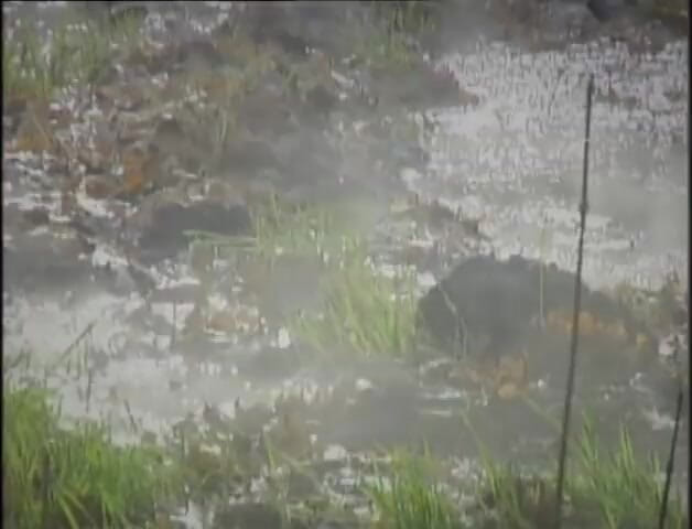 MMV films - The Original: Tette enormi paffuta hardcore figa cazzo in posizione pecorina