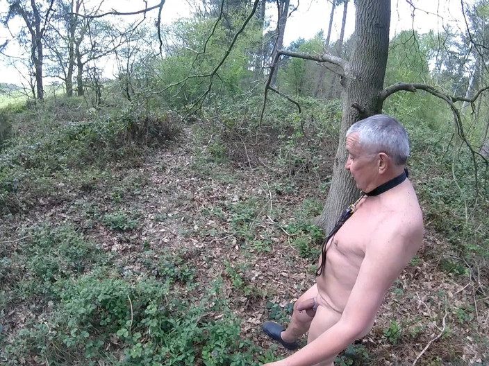 Andy: Promenad 21 2025