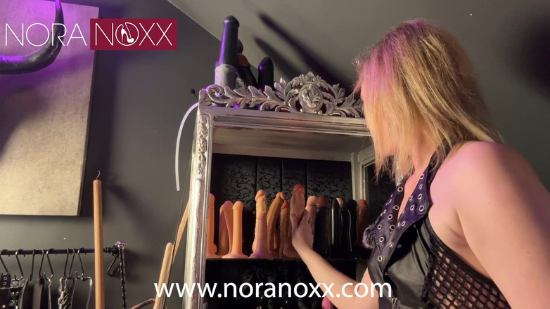 NoraNoxx: Bạn Không Có Đuôi, Bạn Có Một Con Tôm Mini!