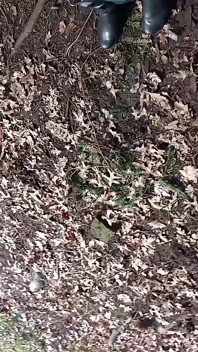 Jugué con una gran polla afuera en el parque, di una mamada e incluso orinar