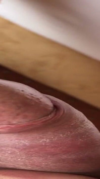 My Cock