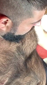 Orso che domina il suo cucciolo