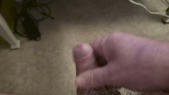 Pellefnatt: Můj přítel sedí na židli a honí si ptáka při sledování...