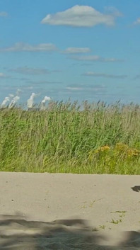 Nackt am fkk-strand