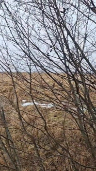 Un Po' Rischioso Pipì - POV Pipì All'aperto Durante Una Passeggiata Nella Natura