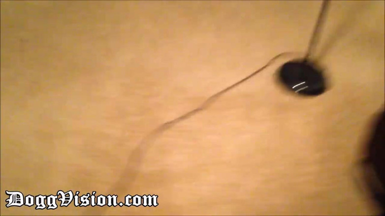 DoggVision: Anal cuckold huge ass squirt wife fisted hard