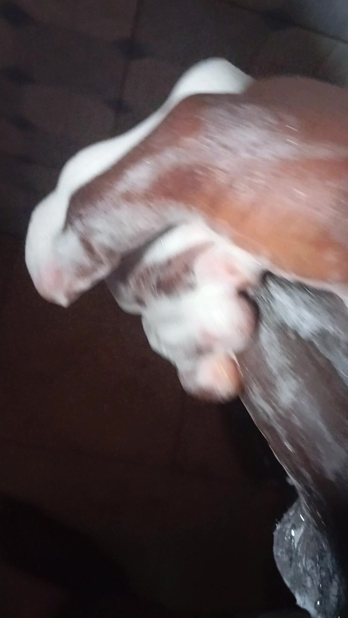 JasperTv1: घर पर अकेली