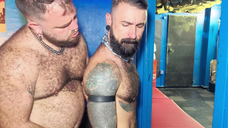 Rober_go: Bear Necessities