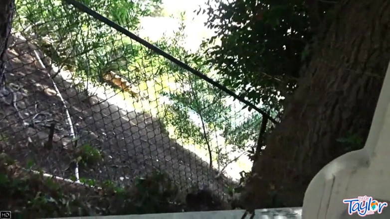 Little Taylor: Milostná Little Taylor masturbuje venku na houpačce