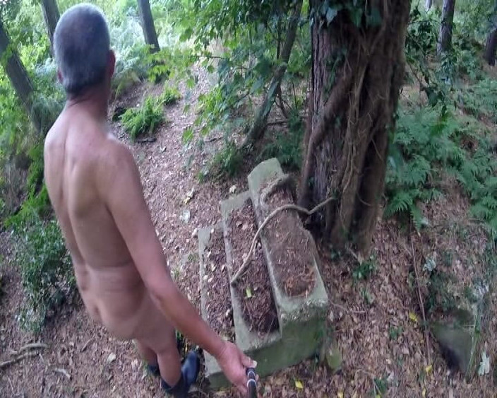 Andy: 探索新树林