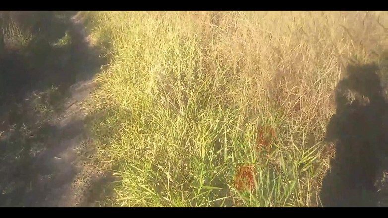 Bruxo fire: Bombomd4 quería follar en el puente ... ¡Los guardias llegaron! Ver completo...