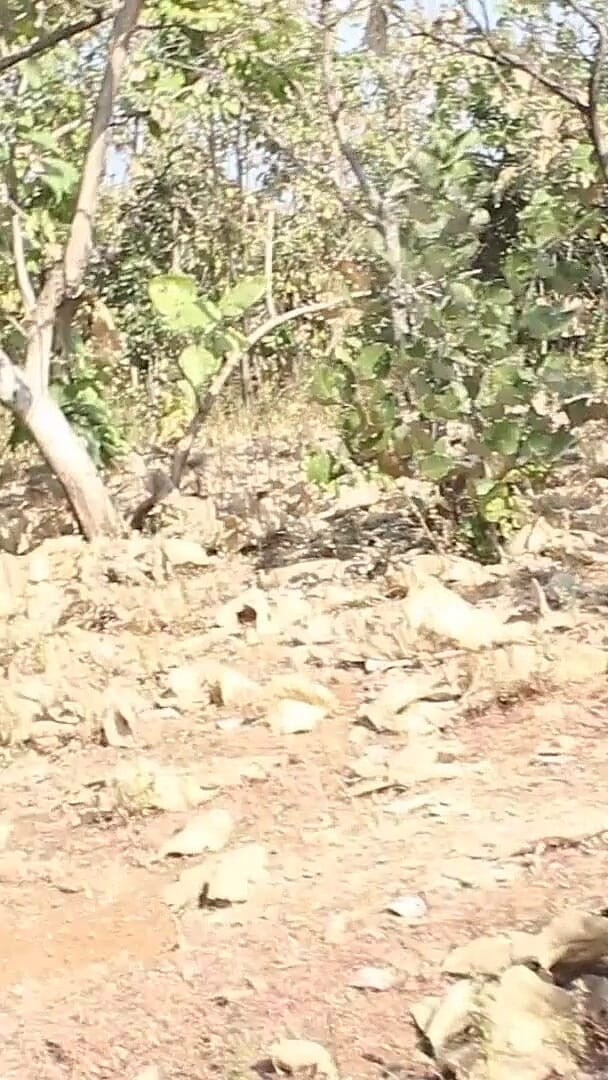 Indian Bhabhi: Mature Indian Mona Bhabhi Wild Outdoor Tease