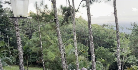 Leyne Rodriguez: Tener el orgasmo con la vista