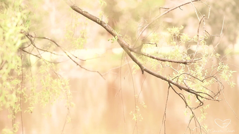 CharlieForde: Homeward Bound: Feature Featuring Charlie Forde, Laney Day, Finley Kay,...