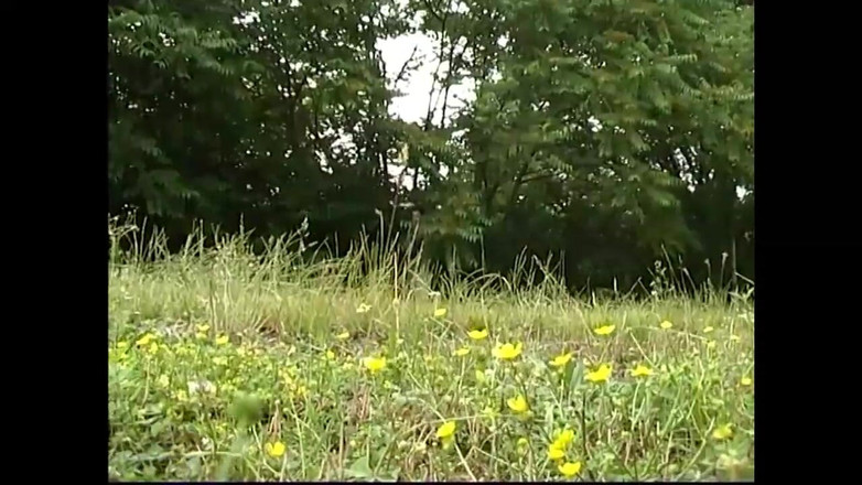 NASTY AMATEUR - Pornstar for a day: The Bitch in the Usual Place