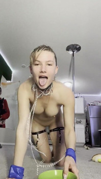 Solo Pet Play Custom