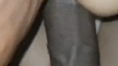 Hubby Pounding My Pussy Doggy Fingering My Arsehole