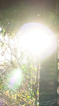 The Forest Sees Me Naked, Only Towel Keeps the Secret