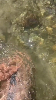 Osvěžující letní den. Femboy semi nahý uprostřed jezera, Sám a Sexy