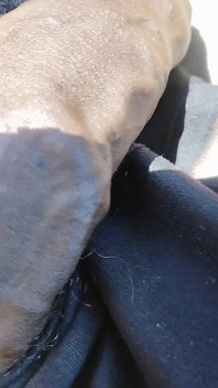 Chocolatemeatstick Public BBC Flashing