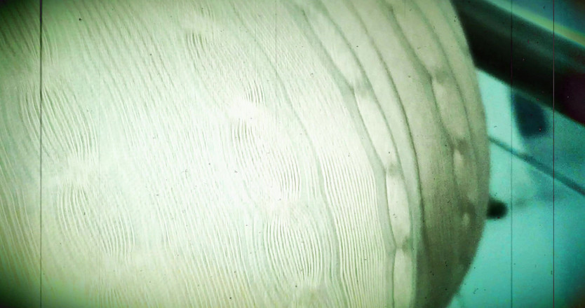 PABLO N3GROBAR: Stagione Quarta - Il Piccolo Gusto Di Piccolo Nano