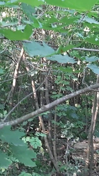 私は2人のガールフレンドが屋外の場所でオナニーしているのを見て、誰にも捕まらないようにしています - レズビアンキャンディー