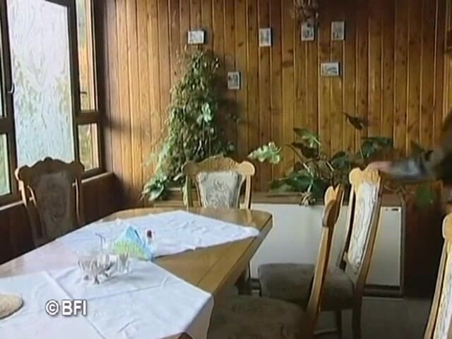 Porn mansion: Jebanie na wakacje