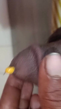 Small Penis Hole Plastic Rod Inside
