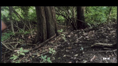 Boy Wonder: 3987809160.mp4